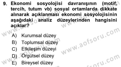 Ekonomi Sosyolojisi Dersi Ara Sınavı Deneme Sınav Soruları 9. Soru