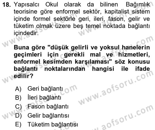 Ekonomi Sosyolojisi Dersi 2020 - 2021 Yılı Yaz Okulu Sınav Soruları 18. Soru