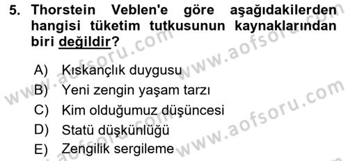 Ekonomi Sosyolojisi Dersi 2020 - 2021 Yılı Yaz Okulu Sınav Soruları 5. Soru