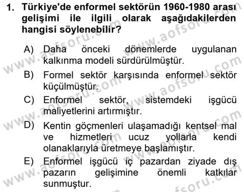 Ekonomi Sosyolojisi Dersi Ara Sınavı Deneme Sınav Soruları 1. Soru