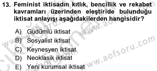 Ekonomi Sosyolojisi Dersi Ara Sınavı Deneme Sınav Soruları 13. Soru