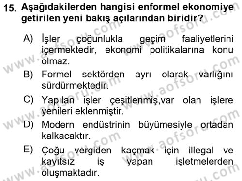 Ekonomi Sosyolojisi Dersi 2021 - 2022 Yılı (Vize) Ara Sınav Soruları 15. Soru