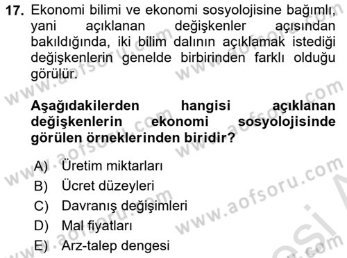 Ekonomi Sosyolojisi Dersi 2021 - 2022 Yılı (Vize) Ara Sınavı 17. Soru