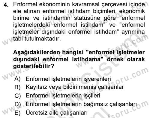 Ekonomi Sosyolojisi Dersi Ara Sınavı Deneme Sınav Soruları 4. Soru