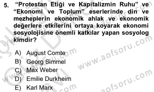 Ekonomi Sosyolojisi Dersi Ara Sınavı Deneme Sınav Soruları 5. Soru