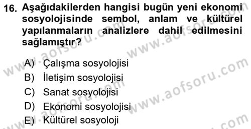 Ekonomi Sosyolojisi Dersi 2021 - 2022 Yılı (Final) Dönem Sonu Sınav Soruları 16. Soru
