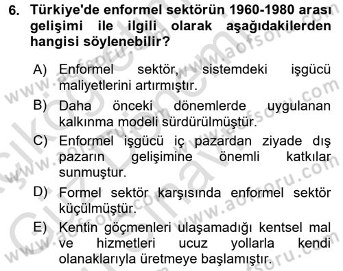 Ekonomi Sosyolojisi Dersi 2021 - 2022 Yılı (Final) Dönem Sonu Sınav Soruları 6. Soru