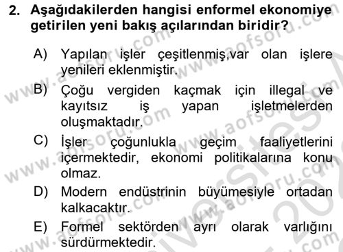 Ekonomi Sosyolojisi Dersi 2021 - 2022 Yılı Yaz Okulu Sınav Soruları 2. Soru
