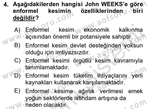 Ekonomi Sosyolojisi Dersi 2021 - 2022 Yılı Yaz Okulu Sınav Soruları 4. Soru