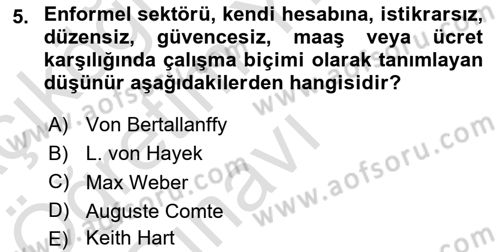 Ekonomi Sosyolojisi Dersi 2021 - 2022 Yılı Yaz Okulu Sınav Soruları 5. Soru