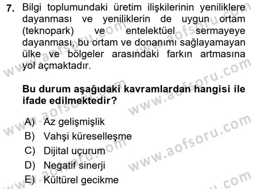 Ekonomi Sosyolojisi Dersi 2021 - 2022 Yılı Yaz Okulu Sınav Soruları 7. Soru