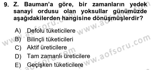 Ekonomi Sosyolojisi Dersi 2021 - 2022 Yılı Yaz Okulu Sınav Soruları 9. Soru
