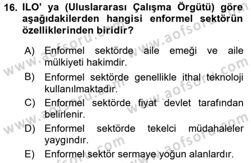 Ekonomi Sosyolojisi Dersi Ara Sınavı Deneme Sınav Soruları 16. Soru