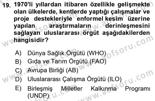 Ekonomi Sosyolojisi Dersi Ara Sınavı Deneme Sınav Soruları 19. Soru