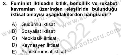 Ekonomi Sosyolojisi Dersi 2022 - 2023 Yılı (Vize) Ara Sınav Soruları 3. Soru