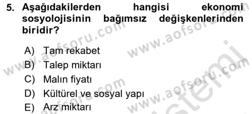 Ekonomi Sosyolojisi Dersi Ara Sınavı Deneme Sınav Soruları 5. Soru
