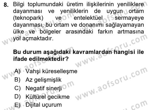 Ekonomi Sosyolojisi Dersi Ara Sınavı Deneme Sınav Soruları 8. Soru