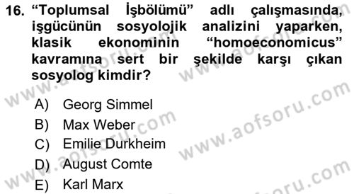 Ekonomi Sosyolojisi Dersi 2022 - 2023 Yılı (Final) Dönem Sonu Sınav Soruları 16. Soru
