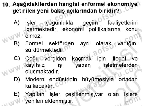 Ekonomi Sosyolojisi Dersi 2022 - 2023 Yılı Yaz Okulu Sınav Soruları 10. Soru