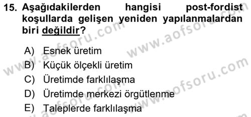 Ekonomi Sosyolojisi Dersi 2022 - 2023 Yılı Yaz Okulu Sınav Soruları 15. Soru