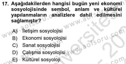 Ekonomi Sosyolojisi Dersi 2022 - 2023 Yılı Yaz Okulu Sınav Soruları 17. Soru