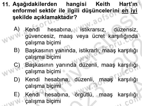 Ekonomi Sosyolojisi Dersi Ara Sınavı Deneme Sınav Soruları 11. Soru