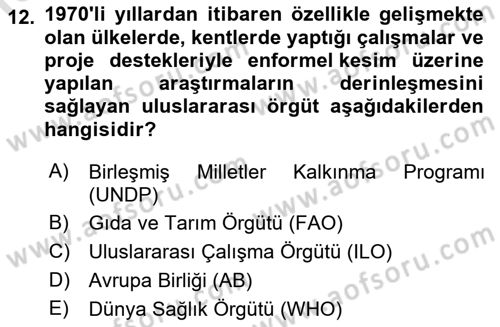 Ekonomi Sosyolojisi Dersi Ara Sınavı Deneme Sınav Soruları 12. Soru