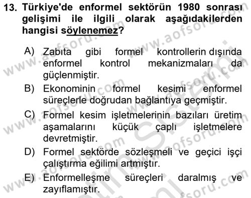 Ekonomi Sosyolojisi Dersi Ara Sınavı Deneme Sınav Soruları 13. Soru