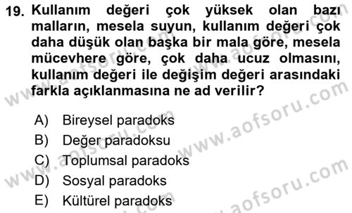 Ekonomi Sosyolojisi Dersi 2023 - 2024 Yılı (Vize) Ara Sınav Soruları 19. Soru