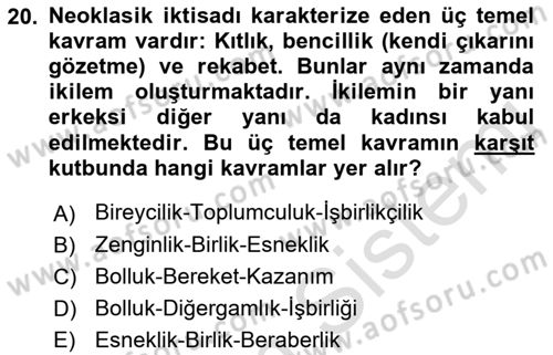 Ekonomi Sosyolojisi Dersi Ara Sınavı Deneme Sınav Soruları 20. Soru