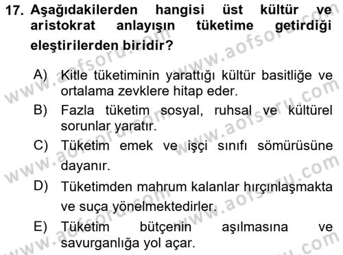 Ekonomi Sosyolojisi Dersi 2023 - 2024 Yılı (Final) Dönem Sonu Sınav Soruları 17. Soru