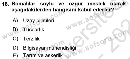 Ekonomi Sosyolojisi Dersi 2023 - 2024 Yılı (Final) Dönem Sonu Sınav Soruları 18. Soru