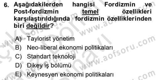 Ekonomi Sosyolojisi Dersi 2023 - 2024 Yılı (Final) Dönem Sonu Sınav Soruları 6. Soru