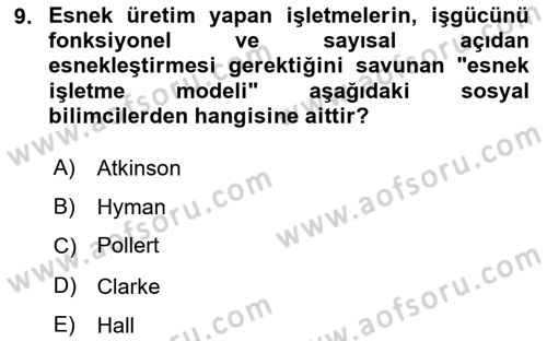 Ekonomi Sosyolojisi Dersi 2023 - 2024 Yılı (Final) Dönem Sonu Sınav Soruları 9. Soru