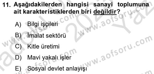 Ekonomi Sosyolojisi Dersi 2023 - 2024 Yılı Yaz Okulu Sınav Soruları 11. Soru