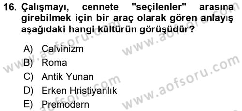 Ekonomi Sosyolojisi Dersi 2023 - 2024 Yılı Yaz Okulu Sınav Soruları 16. Soru