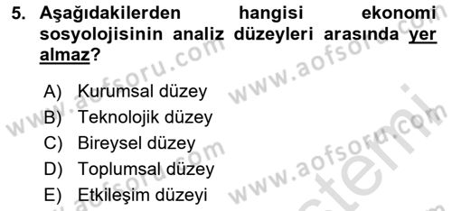 Ekonomi Sosyolojisi Dersi 2023 - 2024 Yılı Yaz Okulu Sınav Soruları 5. Soru