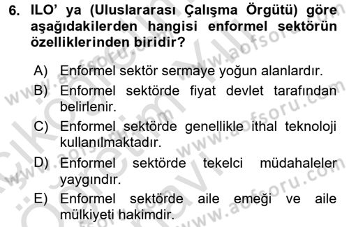 Ekonomi Sosyolojisi Dersi 2023 - 2024 Yılı Yaz Okulu Sınav Soruları 6. Soru