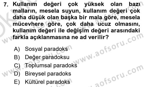 Ekonomi Sosyolojisi Dersi 2023 - 2024 Yılı Yaz Okulu Sınav Soruları 7. Soru