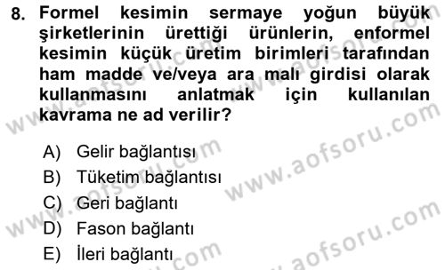 Ekonomi Sosyolojisi Dersi 2023 - 2024 Yılı Yaz Okulu Sınav Soruları 8. Soru