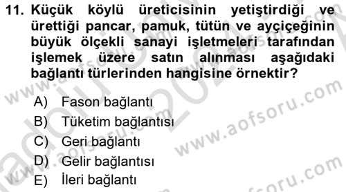 Ekonomi Sosyolojisi Dersi 2024 - 2025 Yılı (Vize) Ara Sınav Soruları 11. Soru