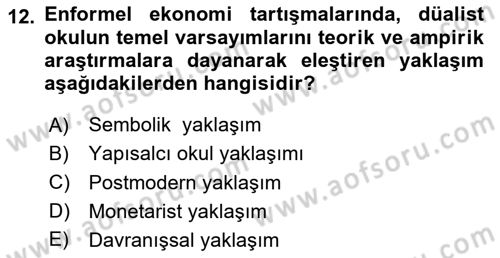 Ekonomi Sosyolojisi Dersi Ara Sınavı Deneme Sınav Soruları 12. Soru