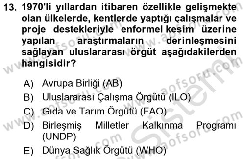 Ekonomi Sosyolojisi Dersi Ara Sınavı Deneme Sınav Soruları 13. Soru