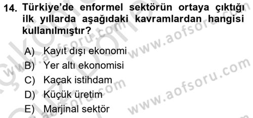 Ekonomi Sosyolojisi Dersi Ara Sınavı Deneme Sınav Soruları 14. Soru