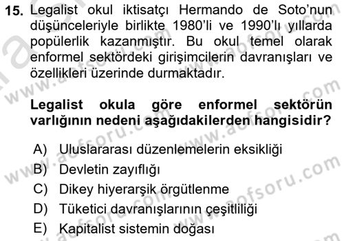 Ekonomi Sosyolojisi Dersi 2024 - 2025 Yılı (Vize) Ara Sınav Soruları 15. Soru