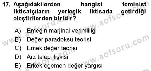 Ekonomi Sosyolojisi Dersi 2024 - 2025 Yılı (Vize) Ara Sınav Soruları 17. Soru