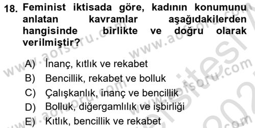 Ekonomi Sosyolojisi Dersi Ara Sınavı Deneme Sınav Soruları 18. Soru