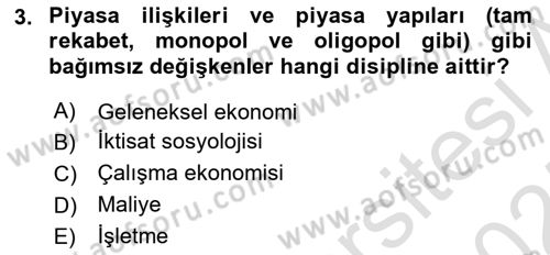 Ekonomi Sosyolojisi Dersi 2024 - 2025 Yılı (Vize) Ara Sınavı 3. Soru