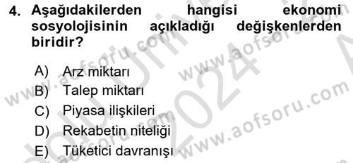 Ekonomi Sosyolojisi Dersi Ara Sınavı Deneme Sınav Soruları 4. Soru