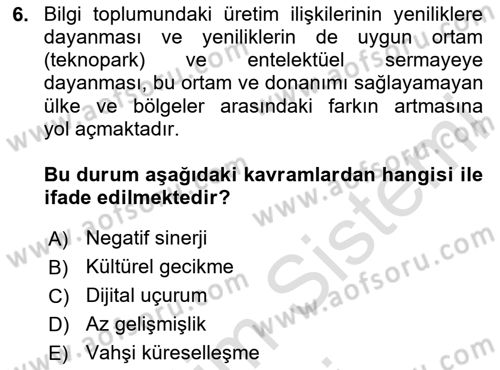 Ekonomi Sosyolojisi Dersi 2024 - 2025 Yılı (Vize) Ara Sınav Soruları 6. Soru